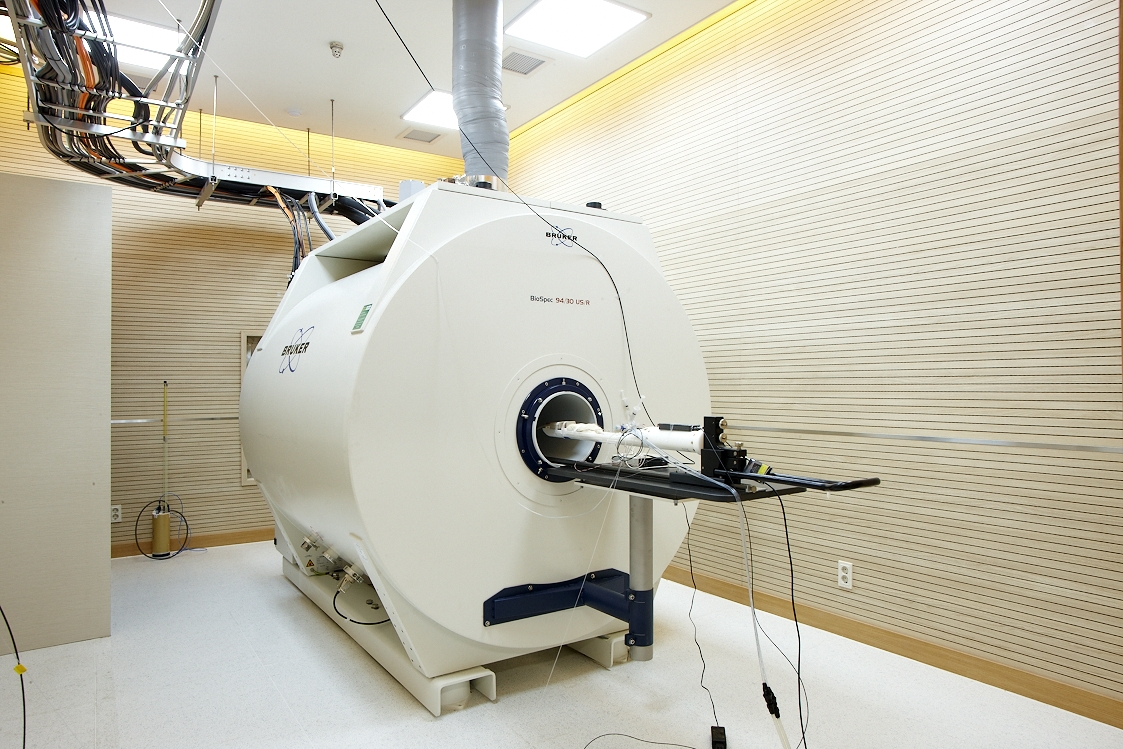 9.4T MRI