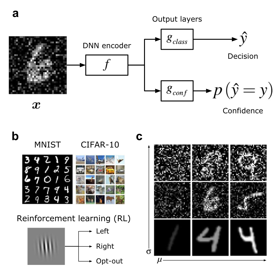 fMRI + Optogenetics