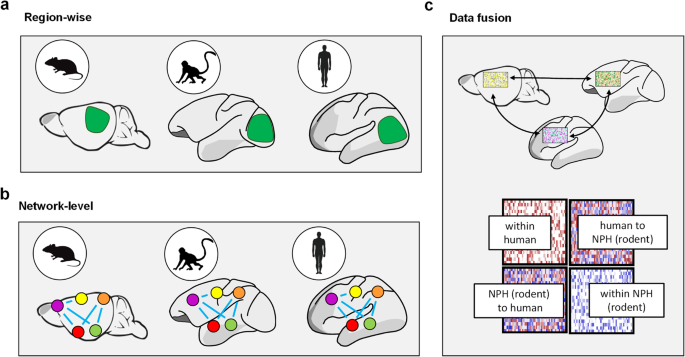 Cross-Species Data Fusion